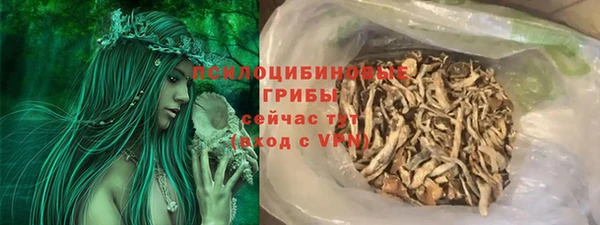 эйфоретик Кулебаки